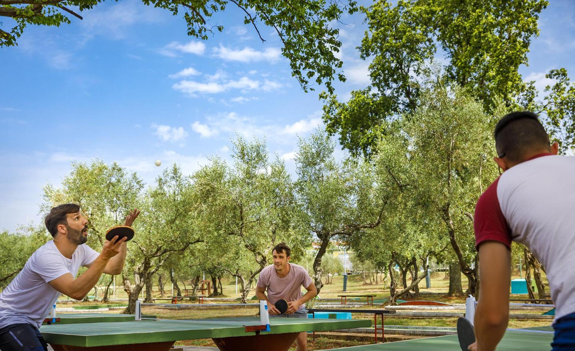 Aminess Planet Camping Maravea Resort - Pitches Novigrad Istria Eksteriør bilde